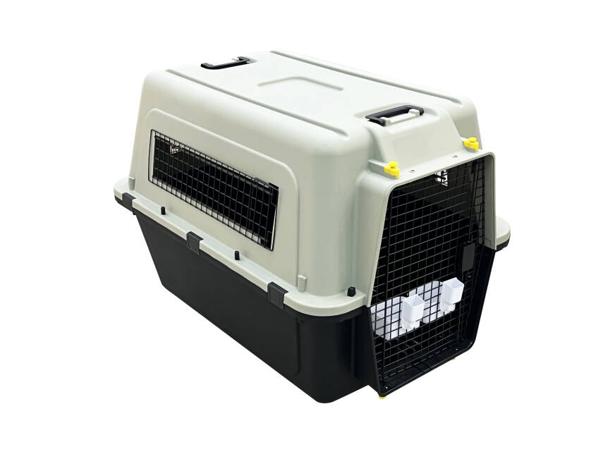İATA Kedi ve Köpek Taşıma Çantası XGH-4 - 2