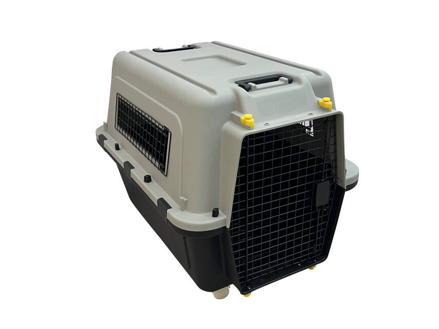İATA Kedi ve Köpek Taşıma Çantası XGH-4 - 3