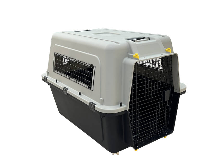 İATA Kedi ve Köpek Taşıma Çantası XGH-5 - 4